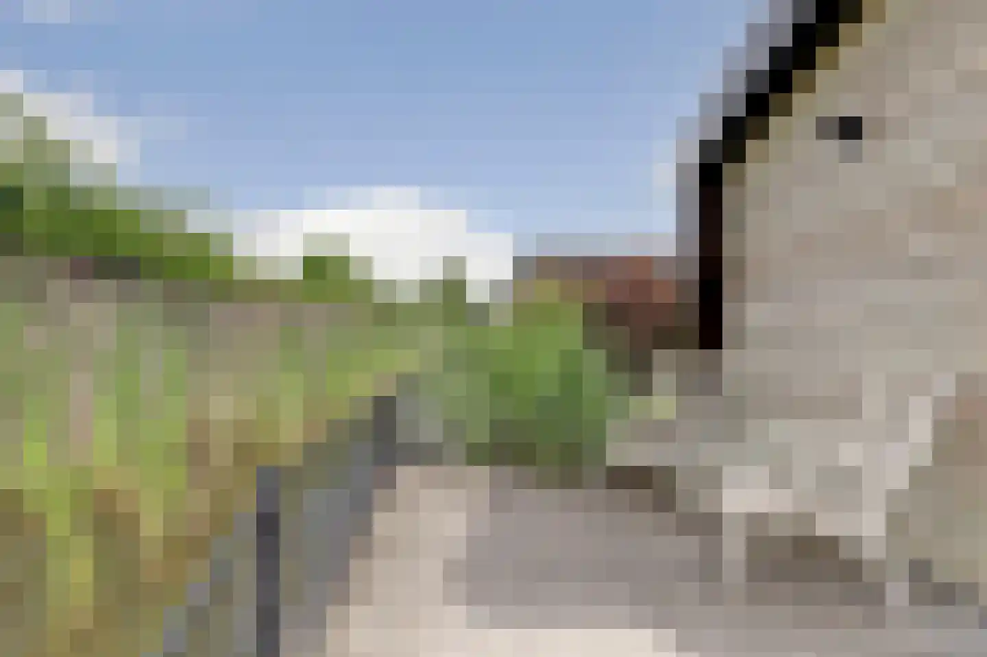 Randmeerweg 14 0011 Nunspeet thumbnail 5