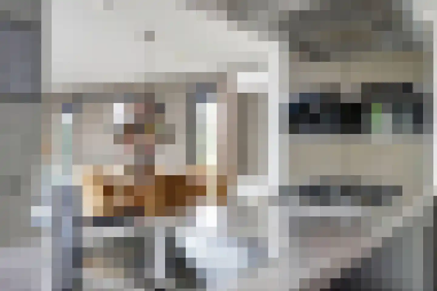 Randmeerweg 14 0011 Nunspeet thumbnail 8
