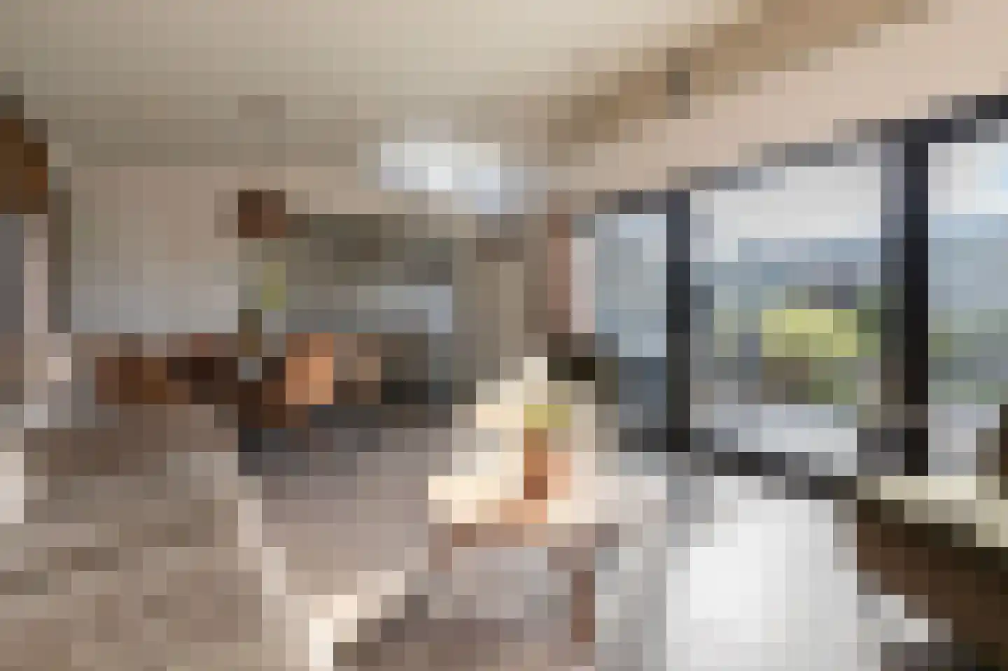 Randmeerweg 14 0012 Nunspeet thumbnail 17