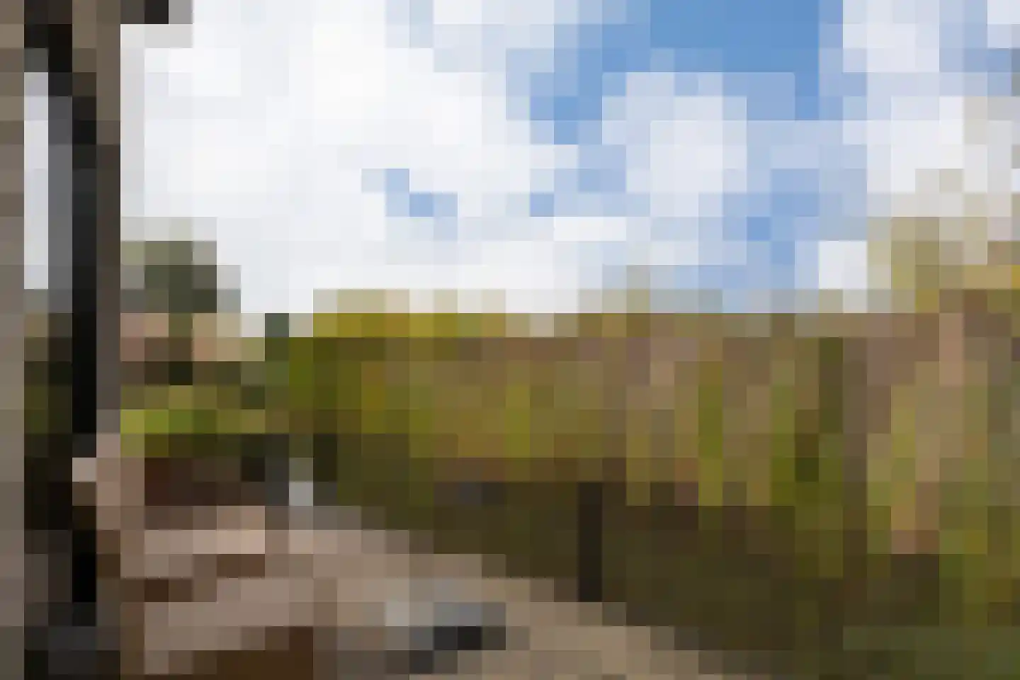 Randmeerweg 14 0012 Nunspeet thumbnail 6