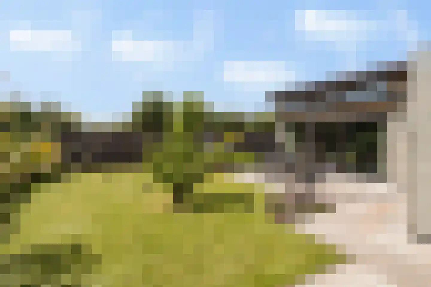 Randmeerweg 14 0015 Nunspeet thumbnail 21