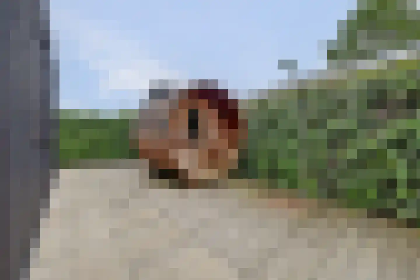 Randmeerweg 14 0067 Nunspeet thumbnail 30