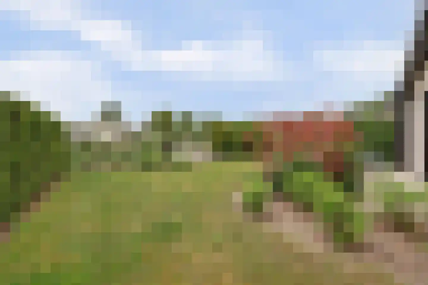 Randmeerweg 14 0067 Nunspeet thumbnail 34