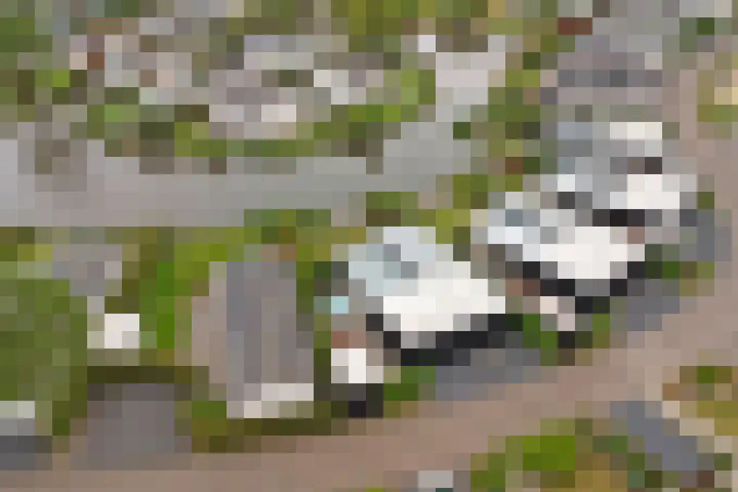 Randmeerweg 14 0067 Nunspeet thumbnail 40