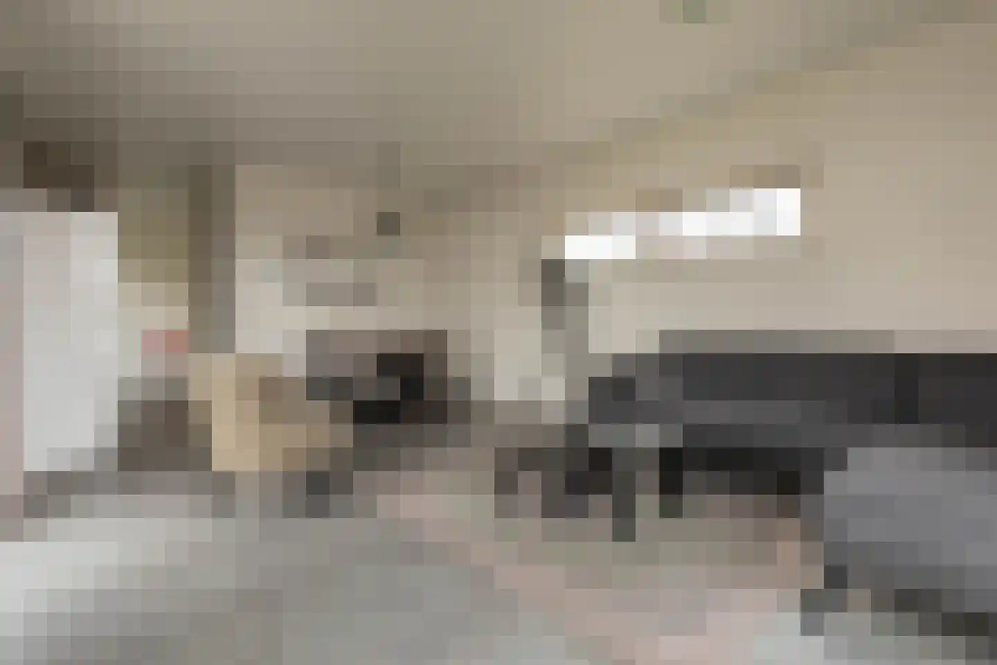 Randmeerweg 8 0118 Nunspeet thumbnail 9