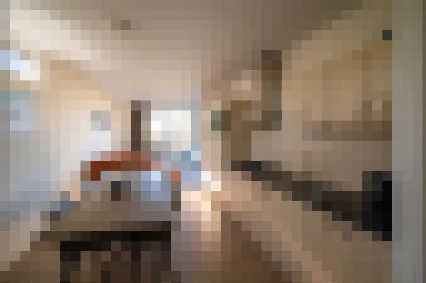 Randmeerweg 8 0127 Nunspeet thumbnail 6