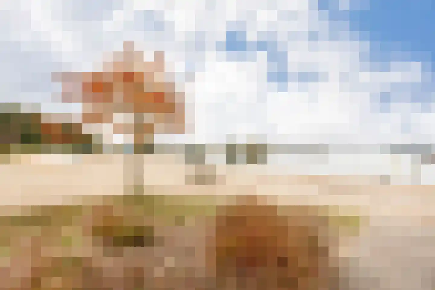 Randmeerweg 8 0210 Nunspeet thumbnail 22