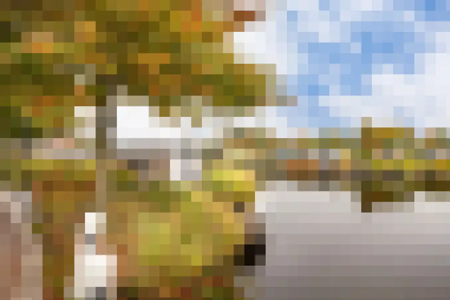 Randmeerweg 8 0210 Nunspeet thumbnail 4
