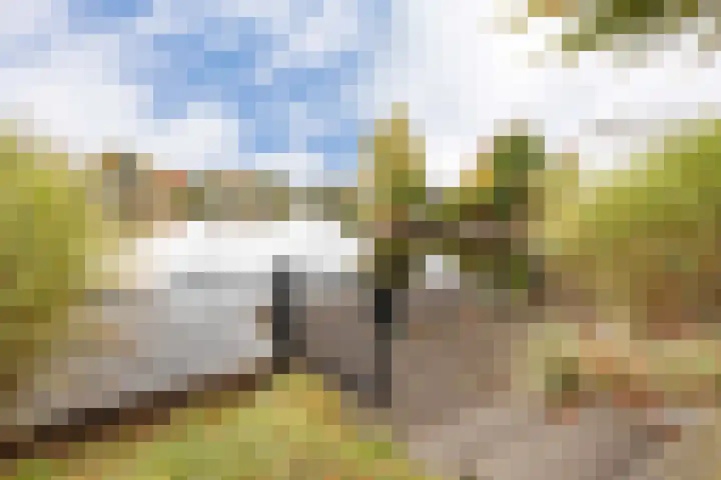 Randmeerweg 8 0210 Nunspeet thumbnail 5