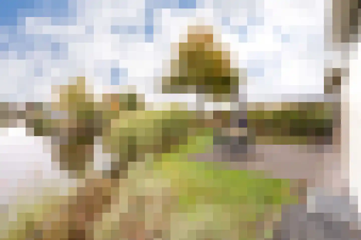 Randmeerweg 8 0210 Nunspeet thumbnail 7