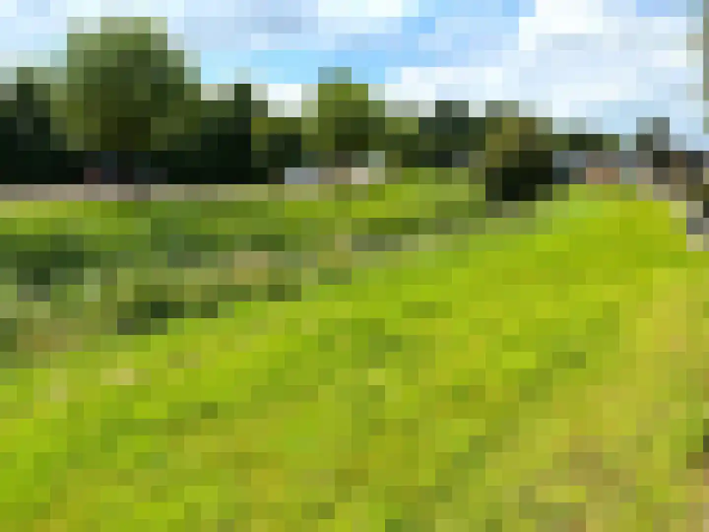 Randmeerweg 8 0445 Nunspeet thumbnail 22