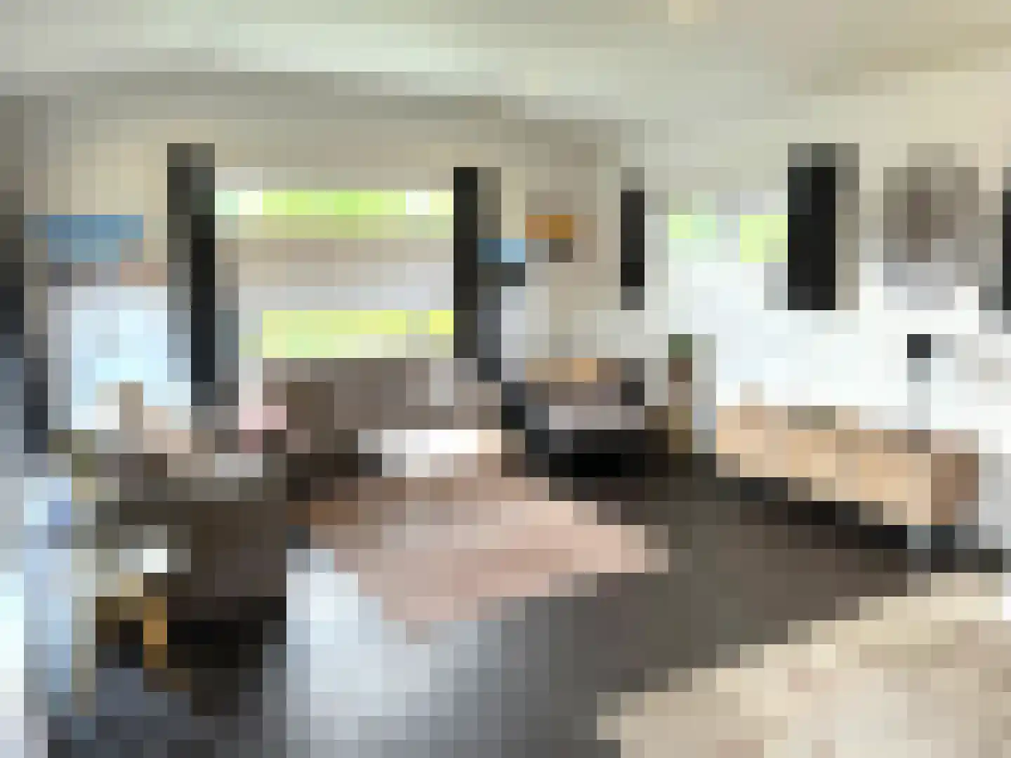 Randmeerweg 8 0445 Nunspeet thumbnail 9