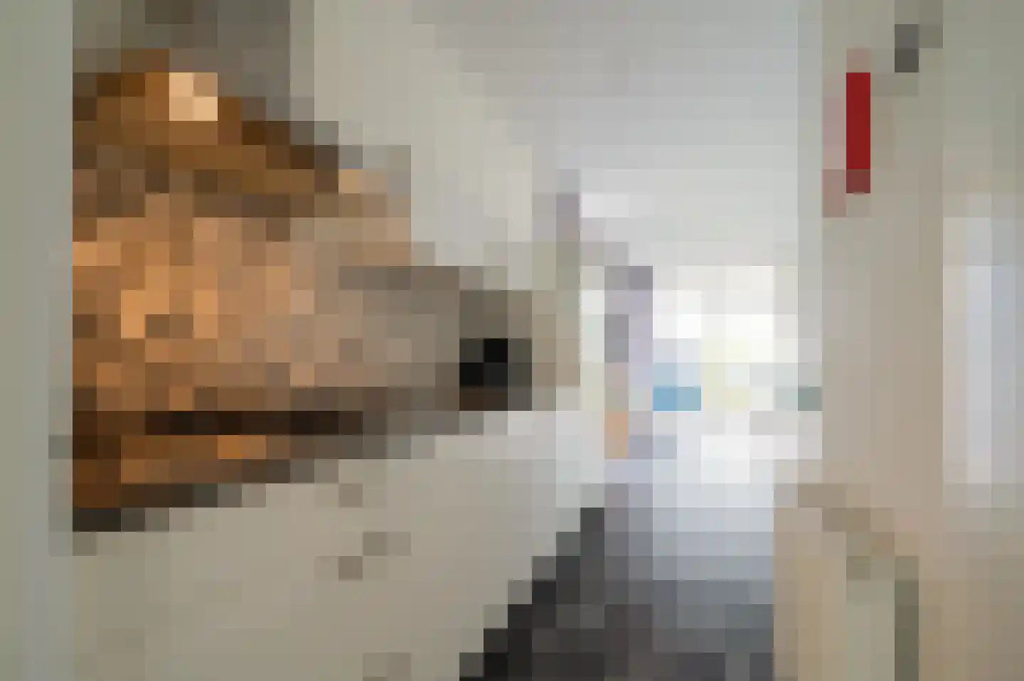 Randmeerweg 8 0710 Nunspeet thumbnail 8