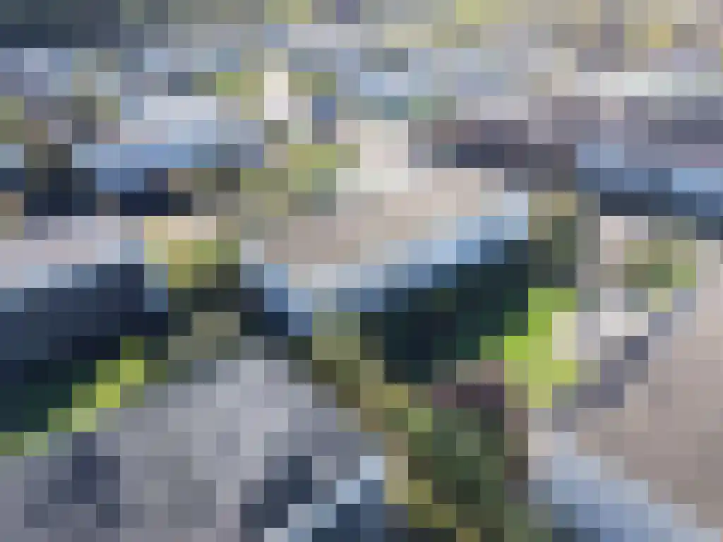 Randmeerweg 8 Nunspeet thumbnail 10