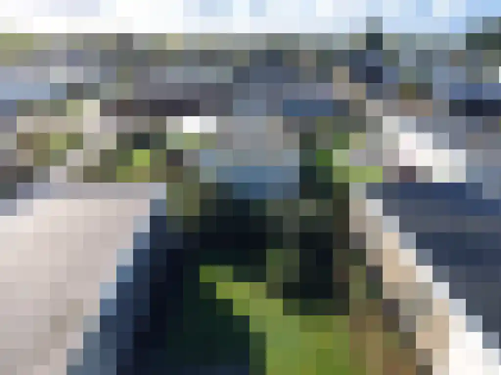 Randmeerweg 8 Nunspeet thumbnail 11