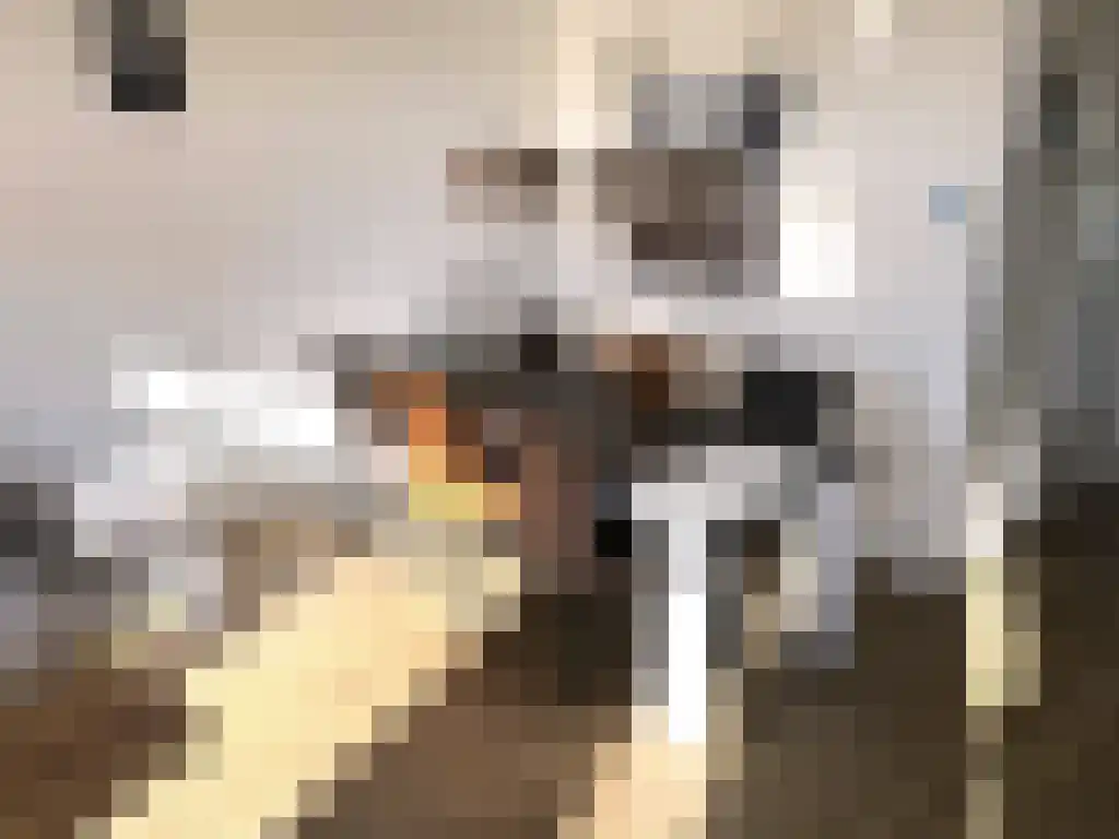 Randmeerweg 8 Nunspeet thumbnail 18