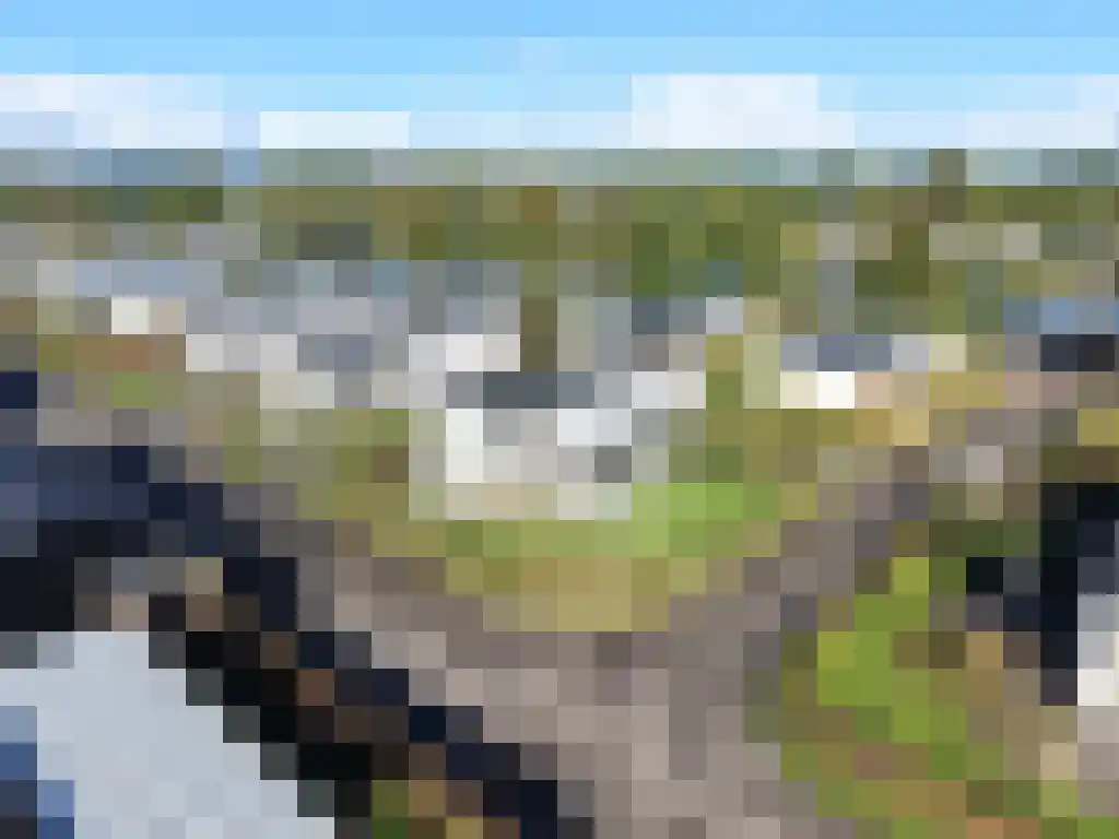 Randmeerweg 8 Nunspeet thumbnail 4