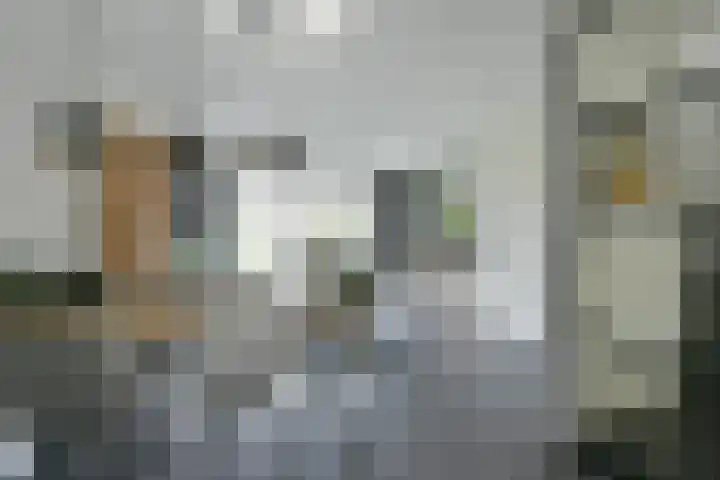 Randolf de Jagerlaan 42 Bennekom thumbnail 15