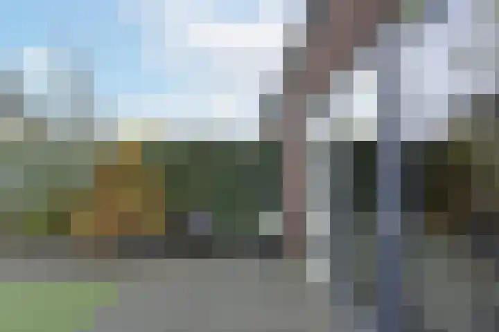 Randolf de Jagerlaan 42 Bennekom thumbnail 7