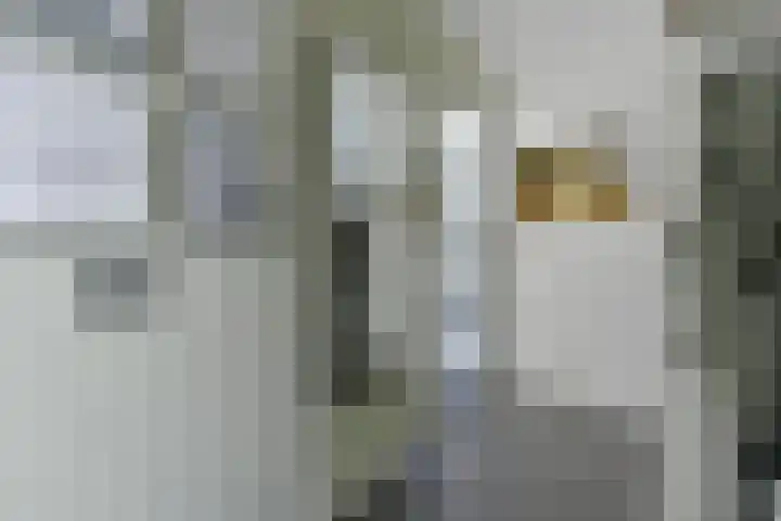 Randolf de Jagerlaan 42 Bennekom thumbnail 9