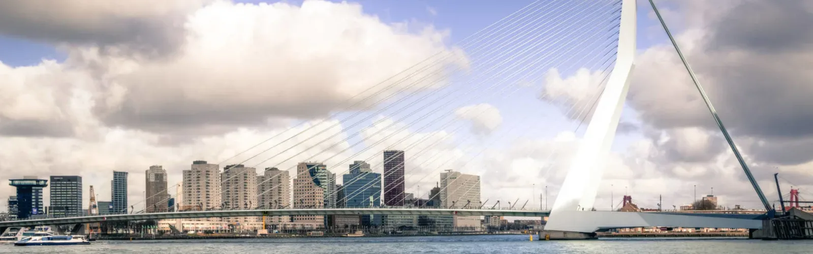 Team foto van RANDSTADMAKELAARS