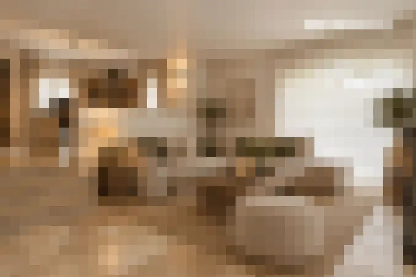 Randstraat 11 Ens thumbnail 13