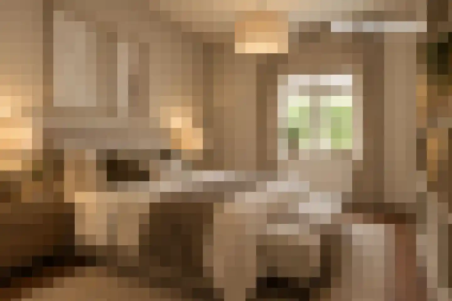 Randstraat 11 Ens thumbnail 19