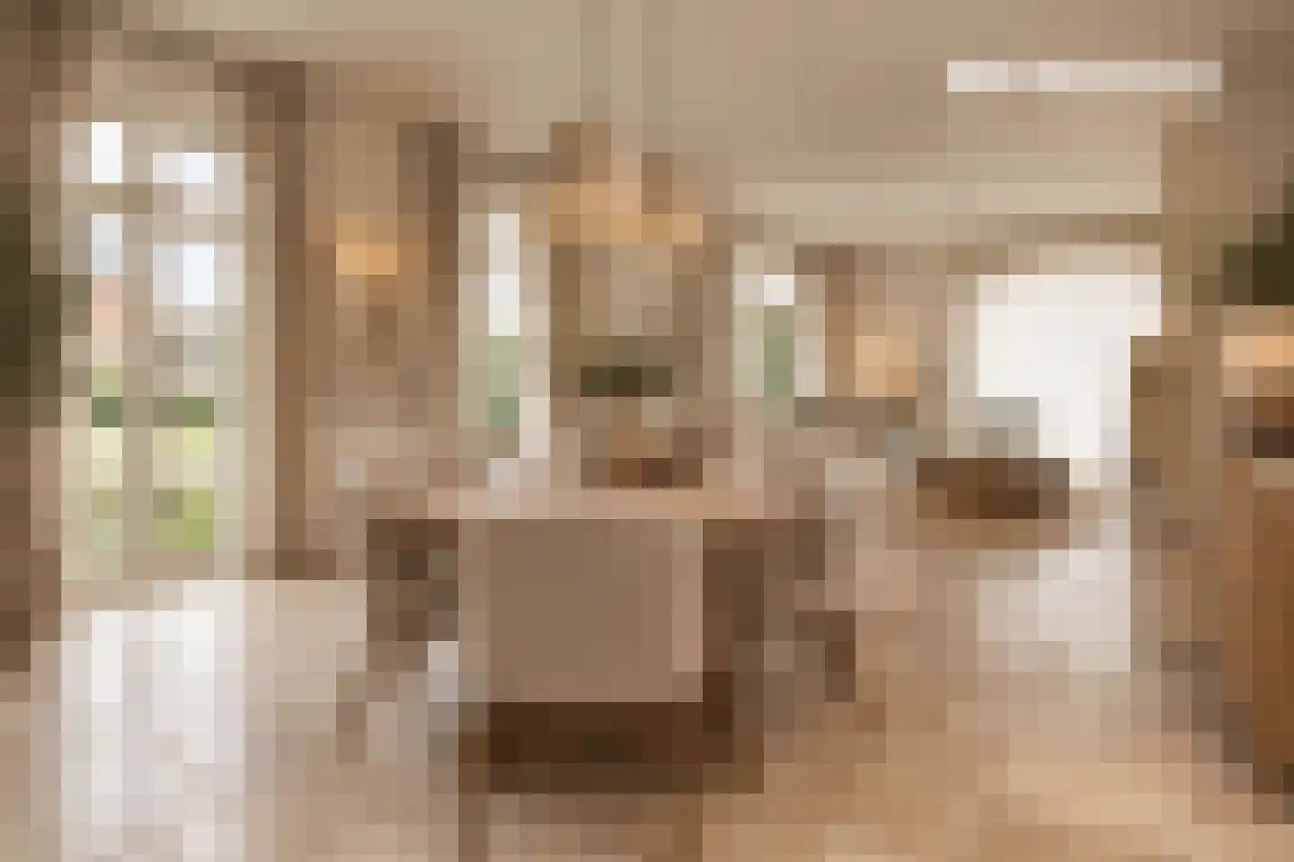 Randstraat 11 Ens thumbnail 8