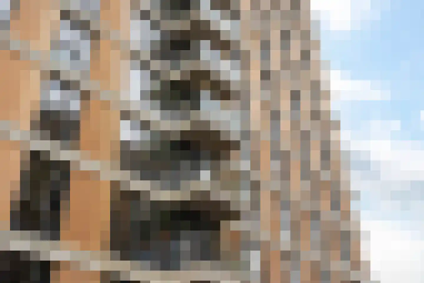 Randveen 508 Den Haag thumbnail 39