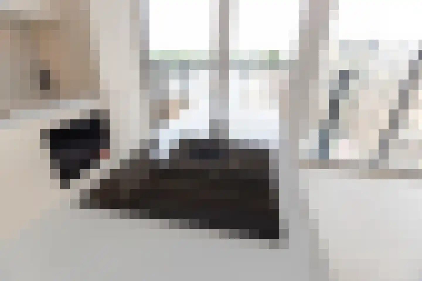 Randveen 556 Den Haag thumbnail 16