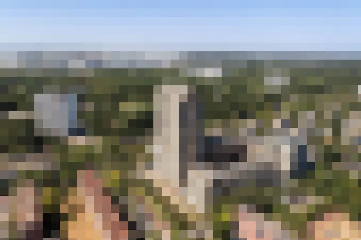Randveen 574 Den Haag thumbnail 32