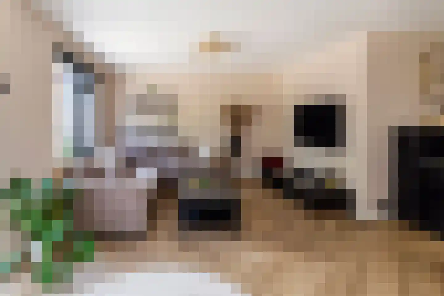 Randveen 6 Wateringen thumbnail 11