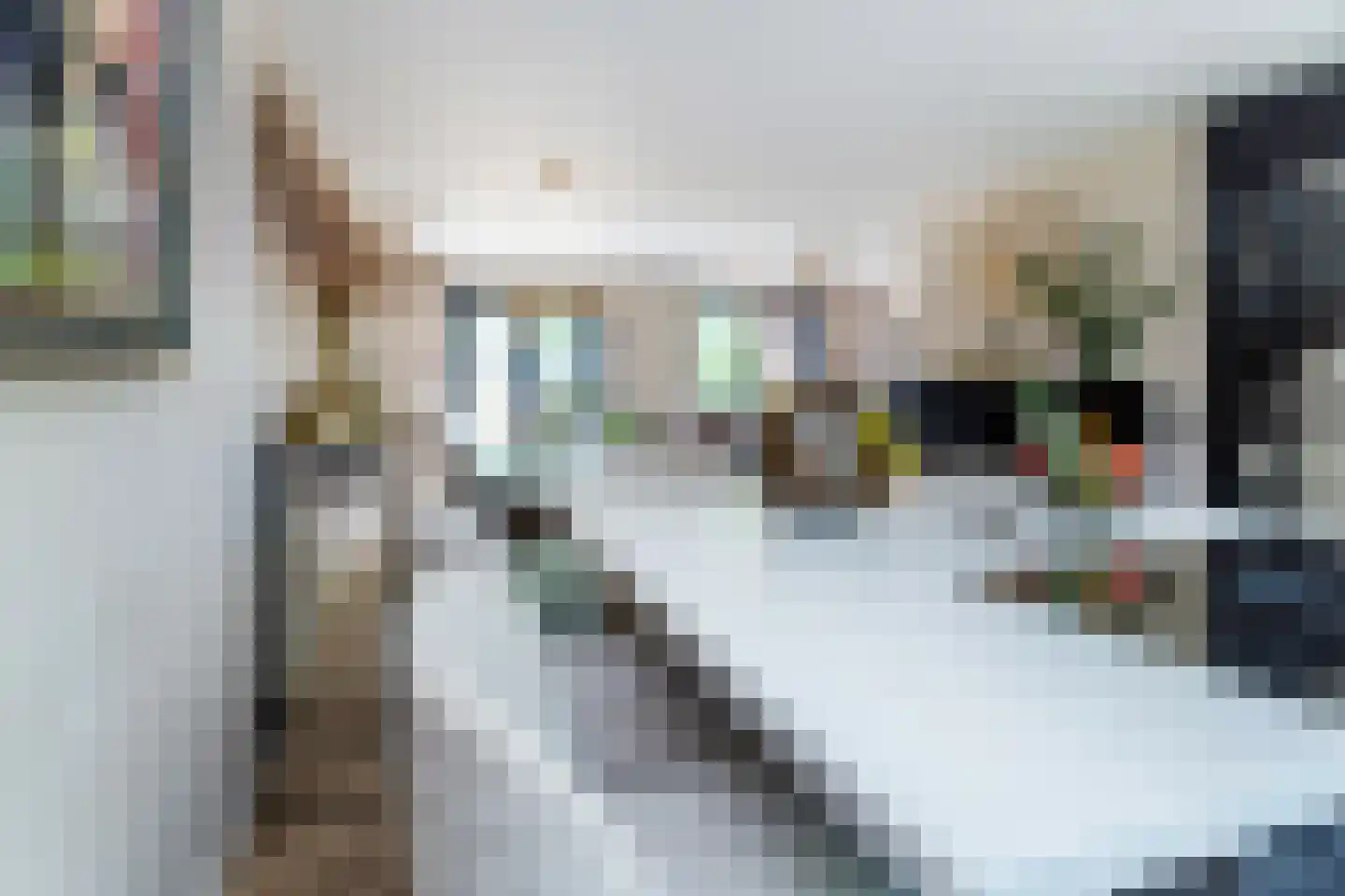 Randveen 6 Wateringen thumbnail 18
