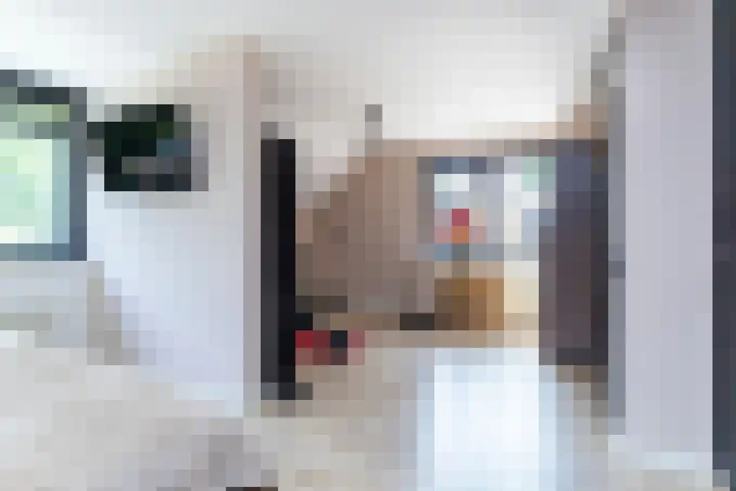 Randveen 6 Wateringen thumbnail 26