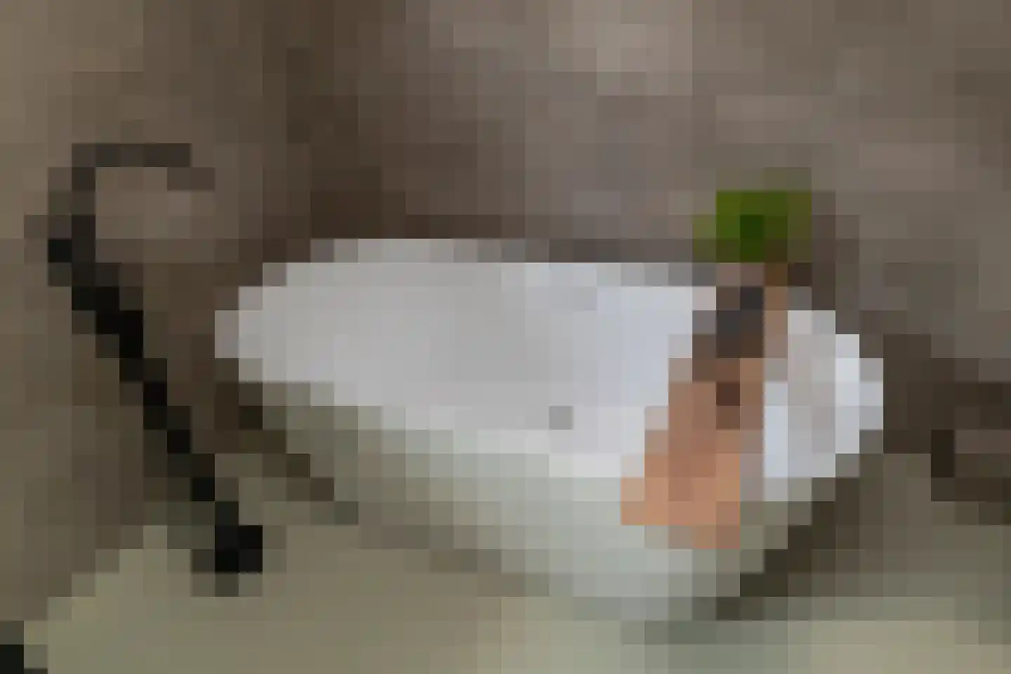 Randveen 6 Wateringen thumbnail 30