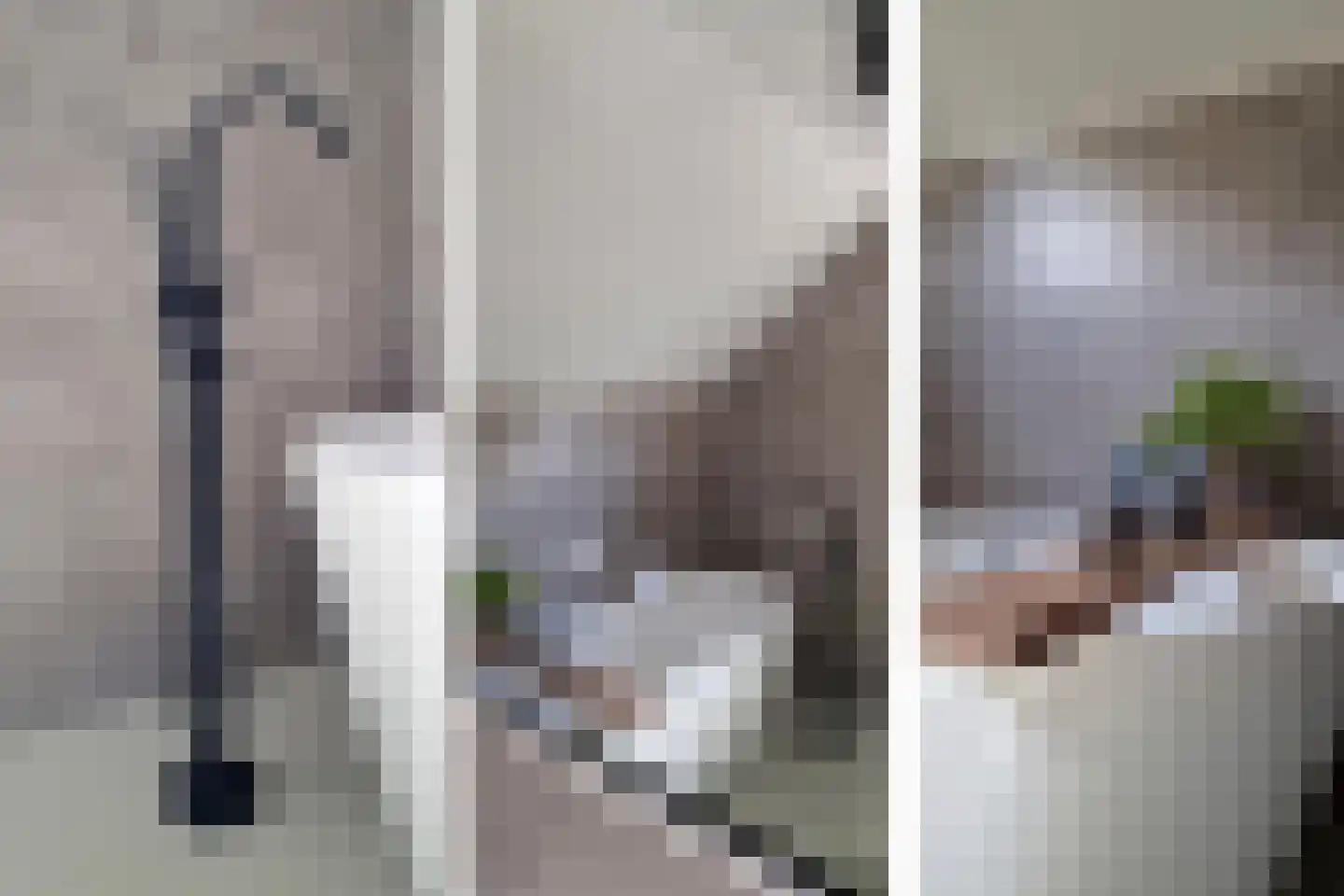 Randveen 6 Wateringen thumbnail 33