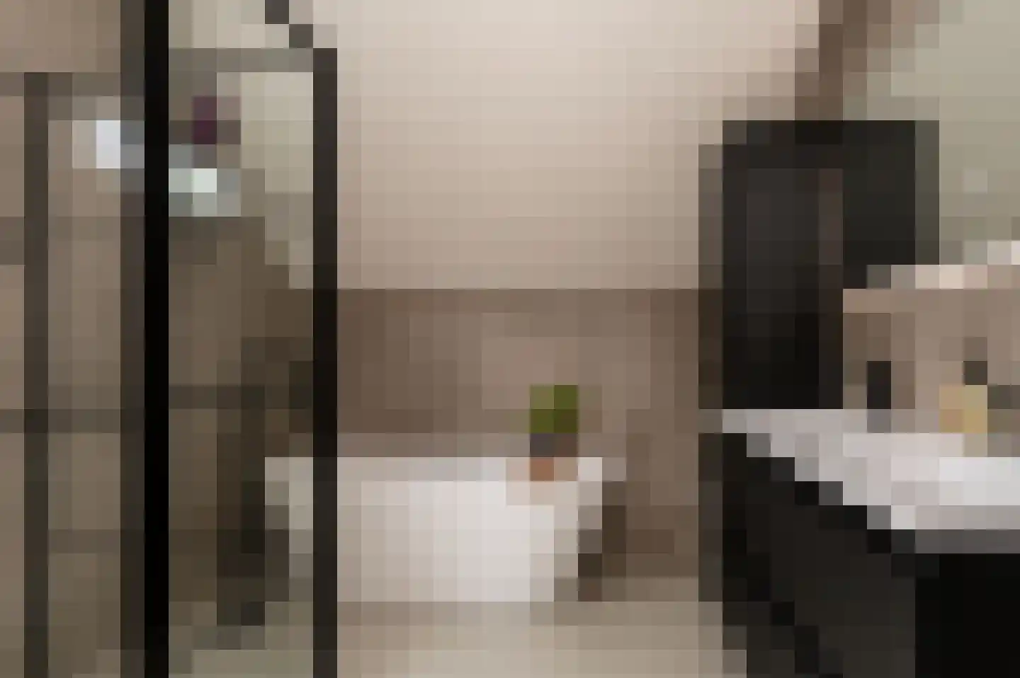 Randveen 6 Wateringen thumbnail 4