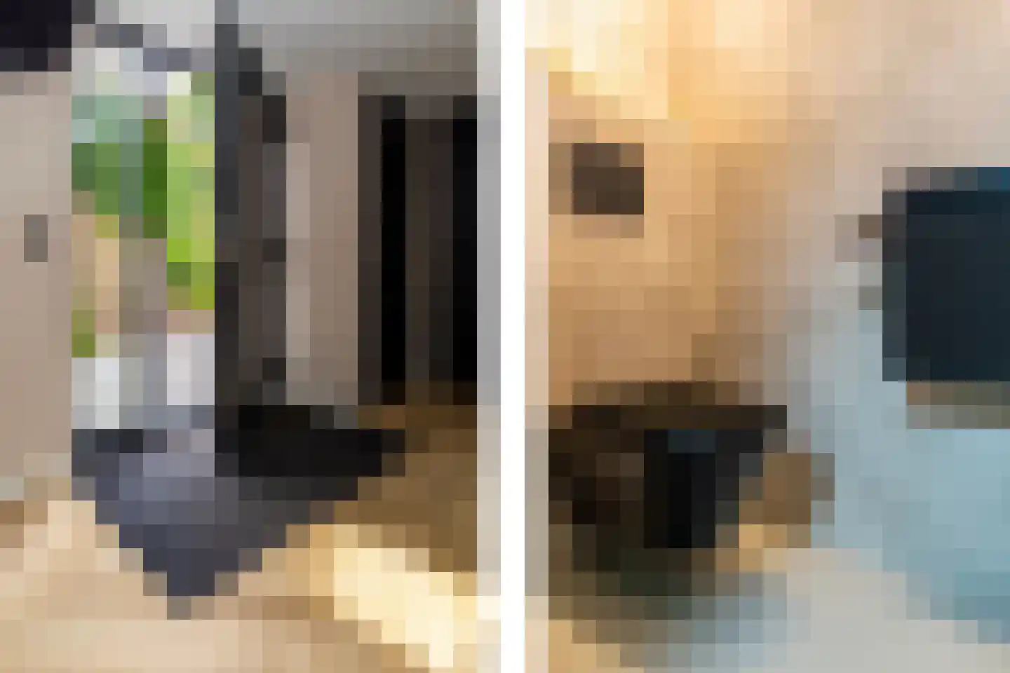Randveen 6 Wateringen thumbnail 6