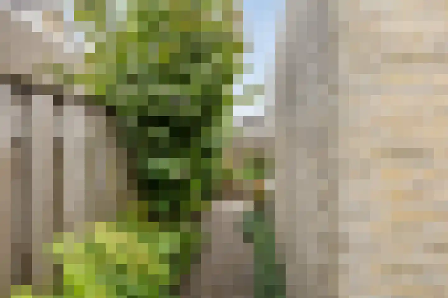 Randveld 7 Boekel thumbnail 30