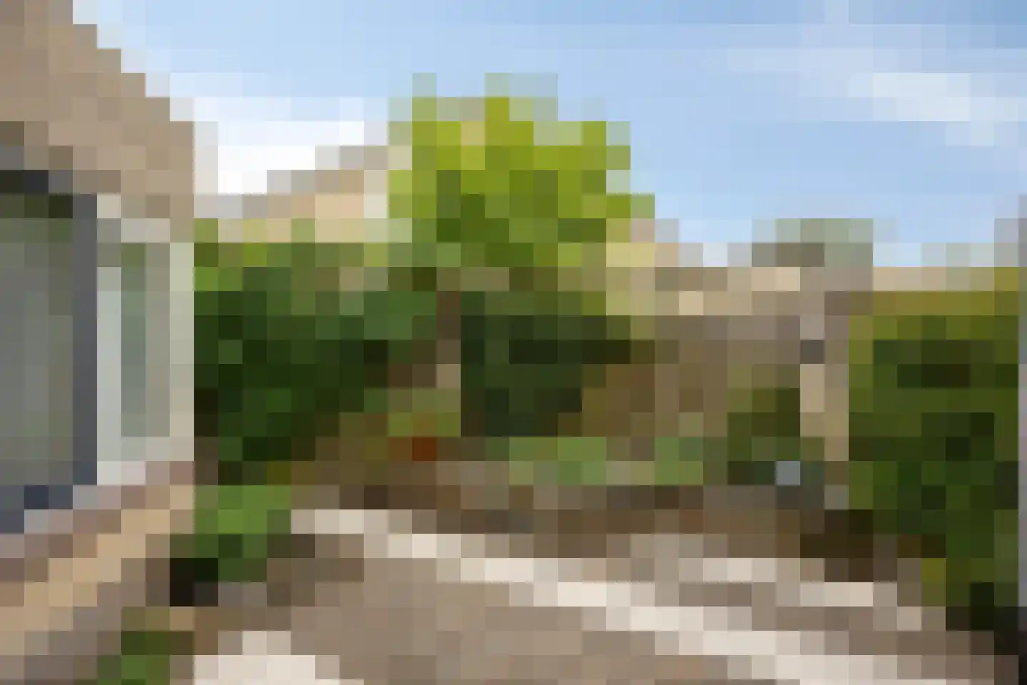 Randveld 7 Boekel thumbnail 31