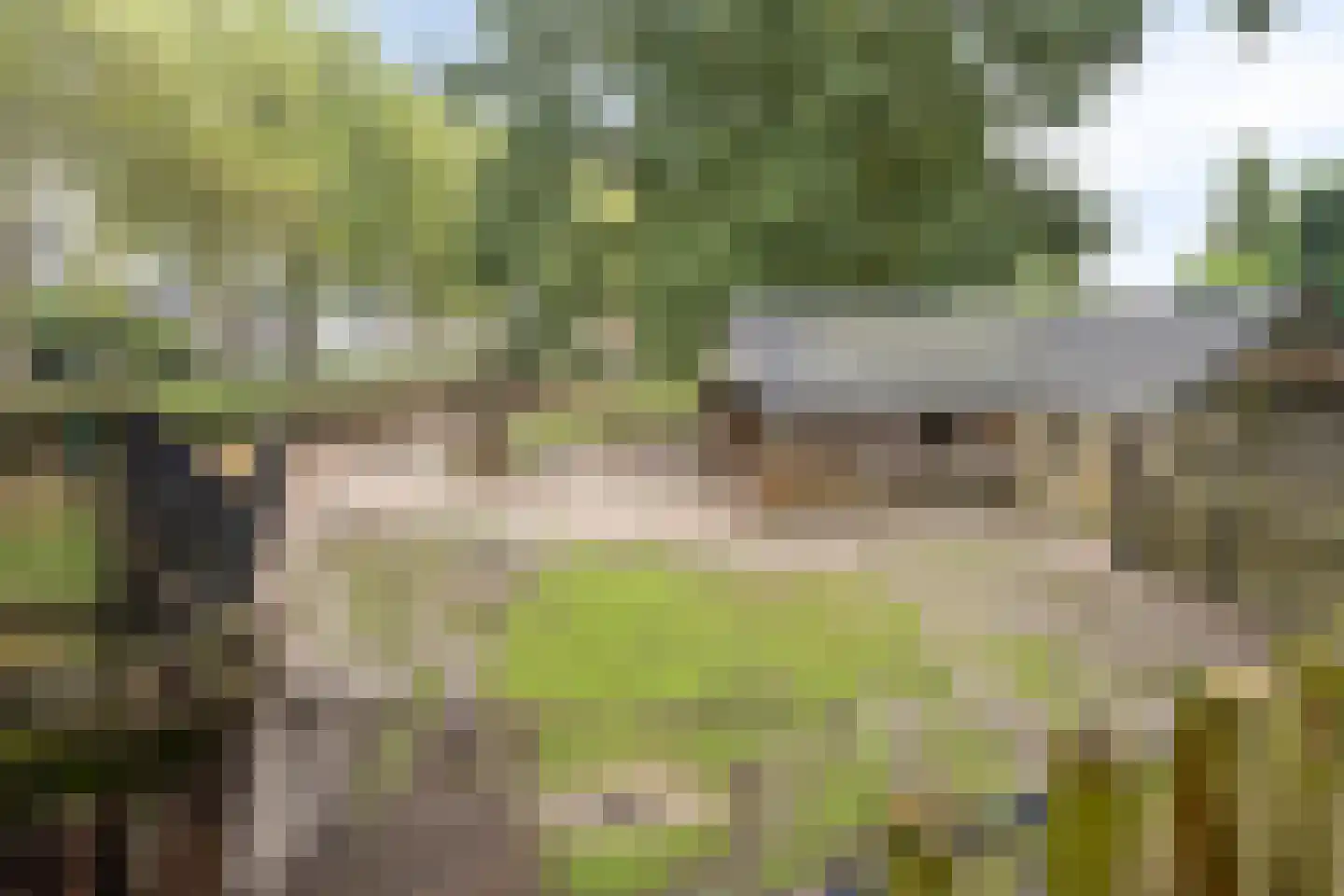 Randveld 7 Boekel thumbnail 33
