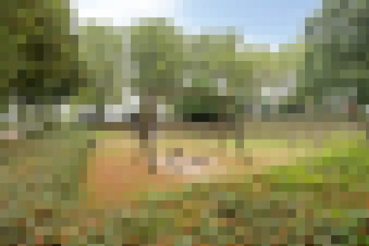 Randveld 7 Boekel thumbnail 35