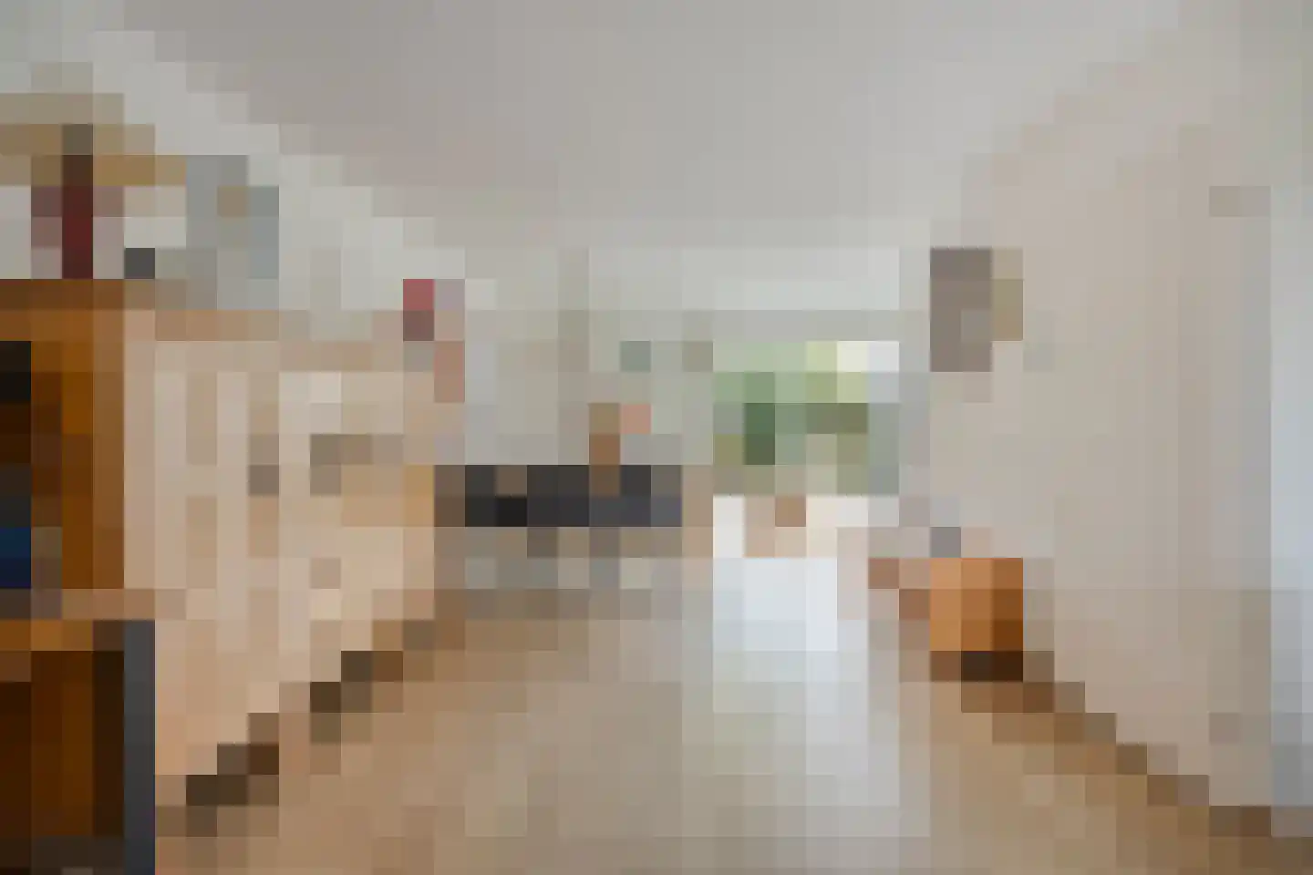 Randveld 7 Boekel thumbnail 8
