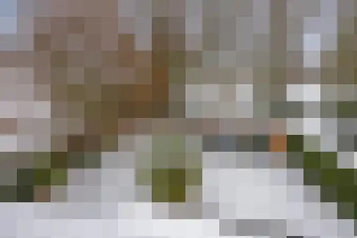 Randweg 1 Sint Anthonis thumbnail 4
