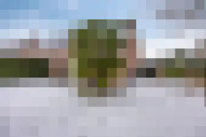 Randweg 1 Sint Anthonis thumbnail 61