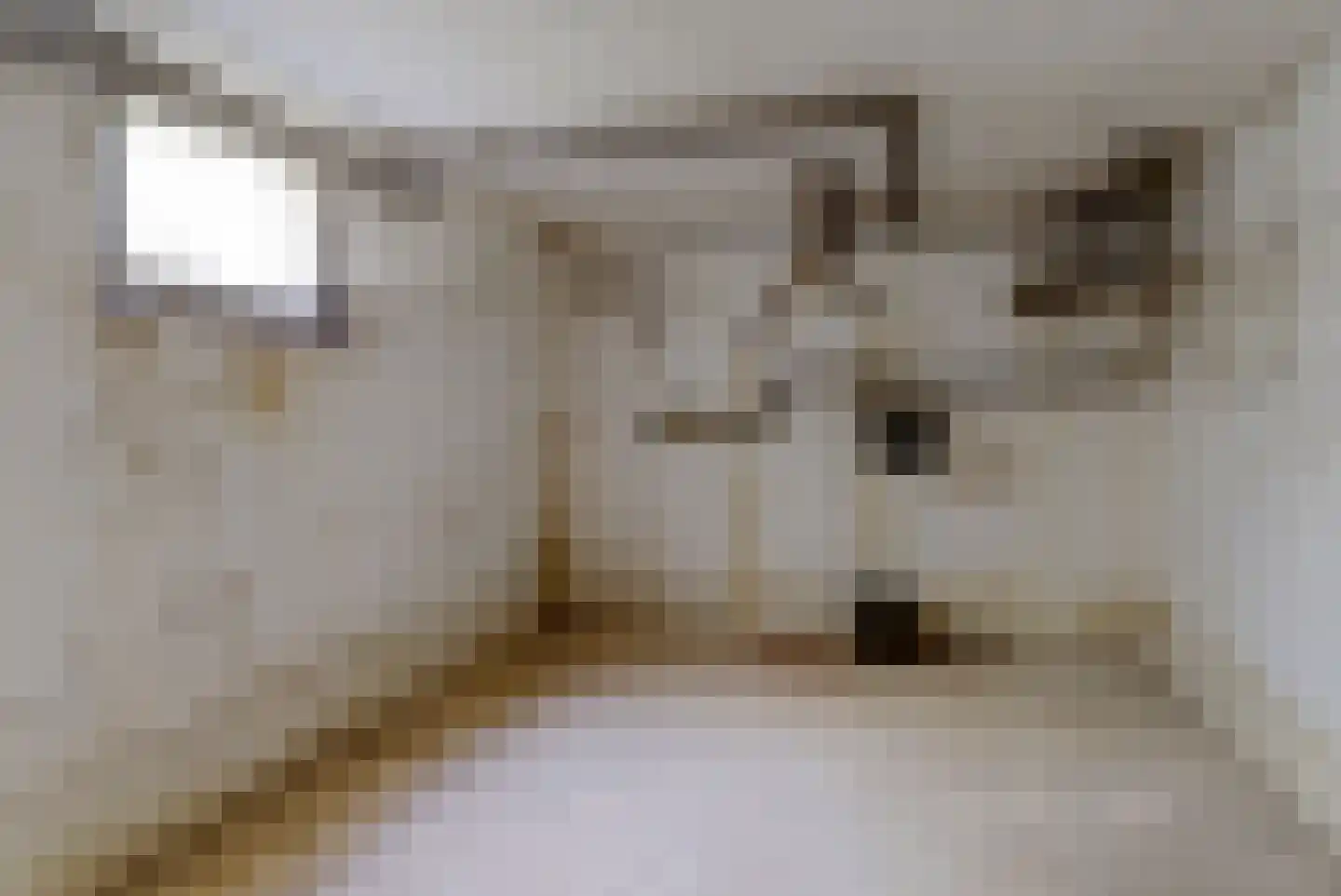 Randweg 10 Elst thumbnail 16