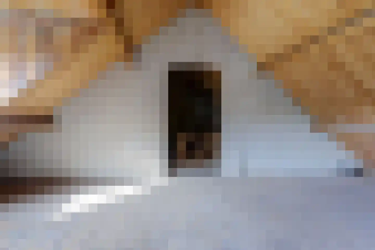Randweg 10 Elst thumbnail 29