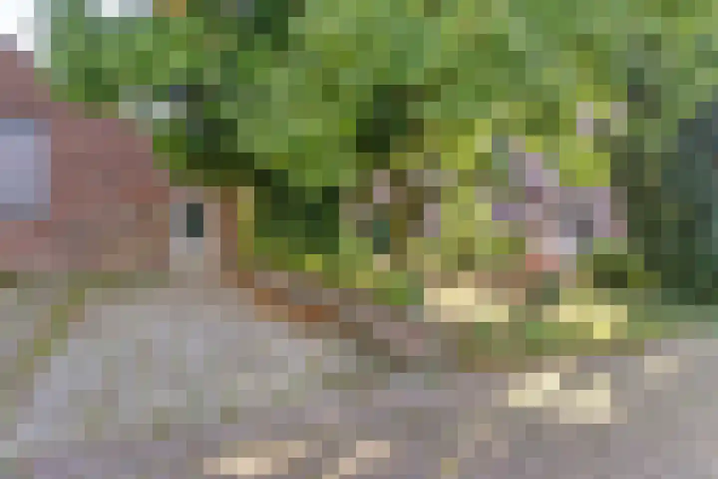 Randweg 10 Elst thumbnail 31