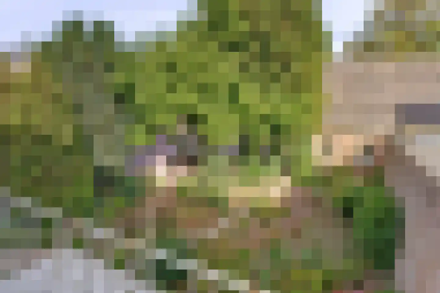 Randweg 10 Elst thumbnail 32