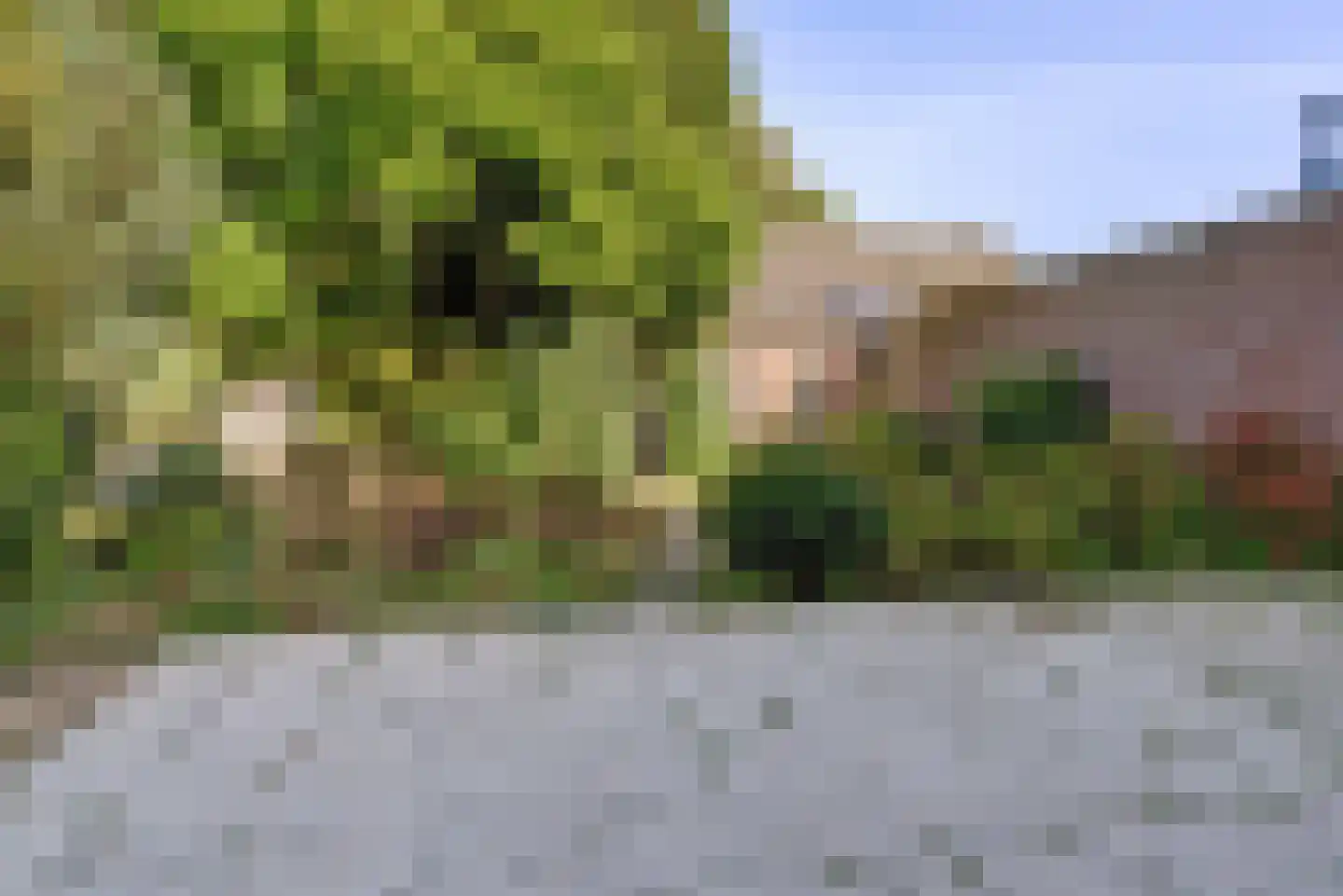 Randweg 10 Elst thumbnail 34